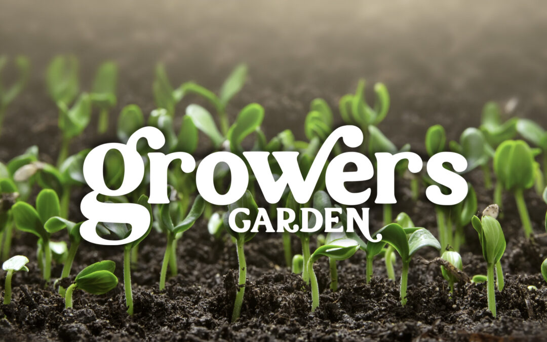 PermaBlitz Explained