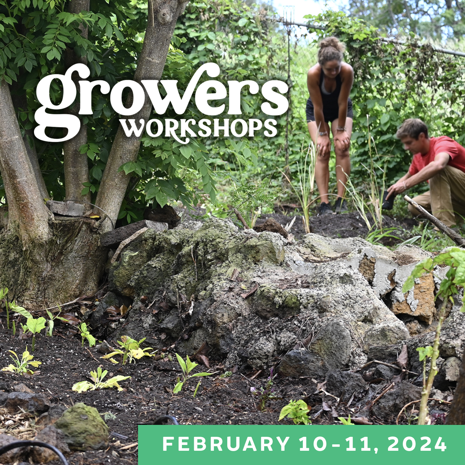Growers Workshops